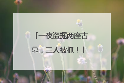一夜盗掘两座古墓，三人被抓！