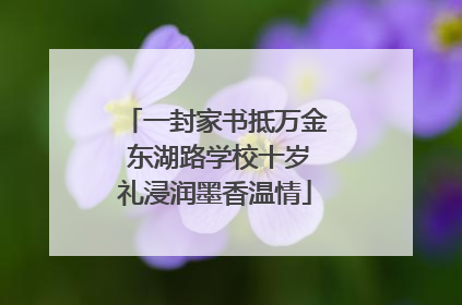 一封家书抵万金 东湖路学校十岁礼浸润墨香温情