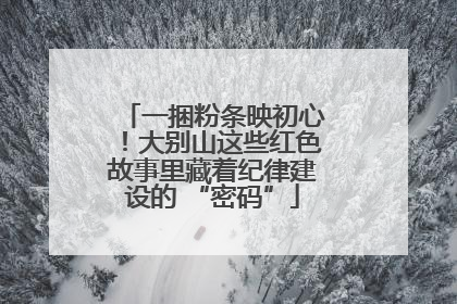 一捆粉条映初心！大别山这些红色故事里藏着纪律建设的 “密码”