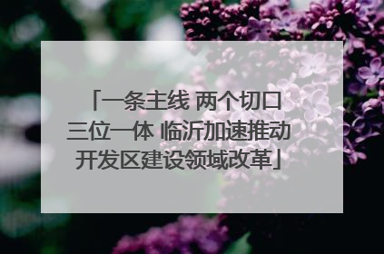 一条主线 两个切口 三位一体 临沂加速推动开发区建设领域改革