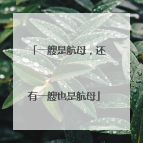 一艘是航母，还有一艘也是航母