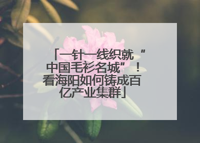 一针一线织就“中国毛衫名城”！看海阳如何铸成百亿产业集群
