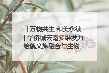 万物共生 和美永续｜华侨城云南多维发力 绘就文旅融合与生物多样性保护新图景