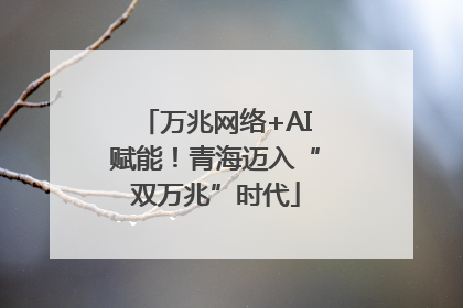 万兆网络+AI赋能！青海迈入“双万兆”时代