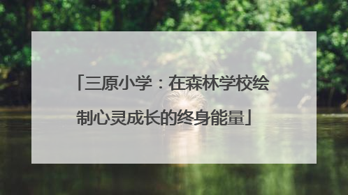 三原小学：在森林学校绘制心灵成长的终身能量