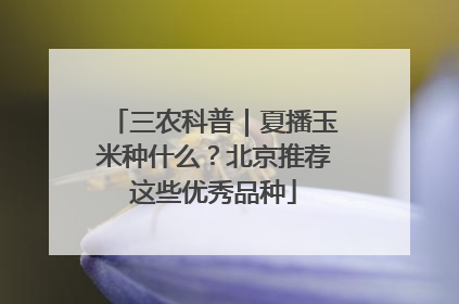 三农科普｜夏播玉米种什么？北京推荐这些优秀品种
