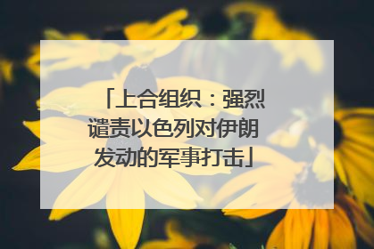 上合组织：强烈谴责以色列对伊朗发动的军事打击
