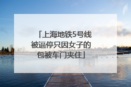 上海地铁5号线被逼停只因女子的包被车门夹住