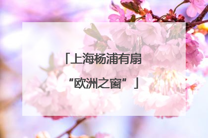 上海杨浦有扇“欧洲之窗”