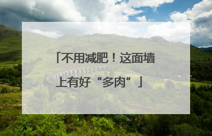 不用减肥！这面墙上有好“多肉”