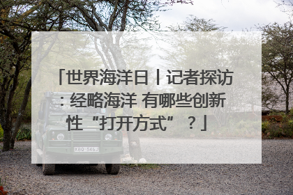世界海洋日丨记者探访：经略海洋 有哪些创新性“打开方式”？