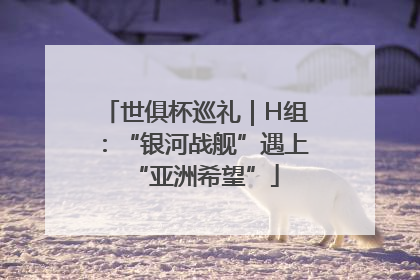 世俱杯巡礼｜H组：“银河战舰”遇上“亚洲希望”