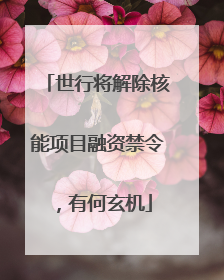 世行将解除核能项目融资禁令，有何玄机