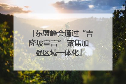 东盟峰会通过“吉隆坡宣言” 聚焦加强区域一体化