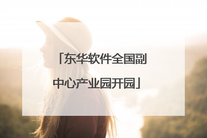 东华软件全国副中心产业园开园