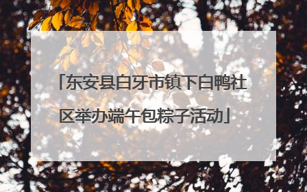 东安县白牙市镇下白鸭社区举办端午包粽子活动
