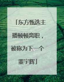 东方甄选主播顿顿离职，被称为下一个董宇辉