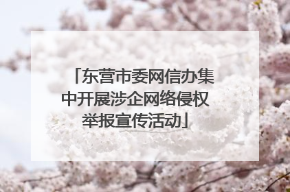 东营市委网信办集中开展涉企网络侵权举报宣传活动