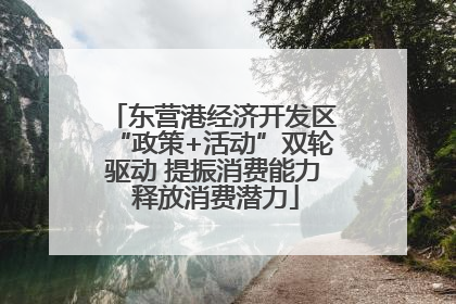 东营港经济开发区“政策+活动”双轮驱动 提振消费能力 释放消费潜力