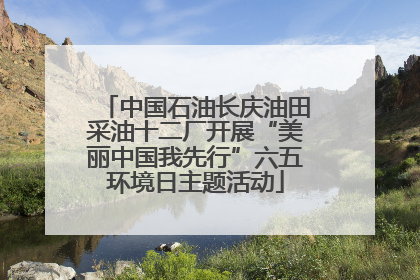 中国石油长庆油田采油十二厂开展“美丽中国我先行”六五环境日主题活动