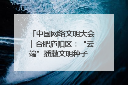 中国网络文明大会｜合肥庐阳区：“云端”播撒文明种子 共建清朗网络空间