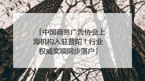 中国商务广告协会上海机构入驻普陀！行业权威奖项同步落户
