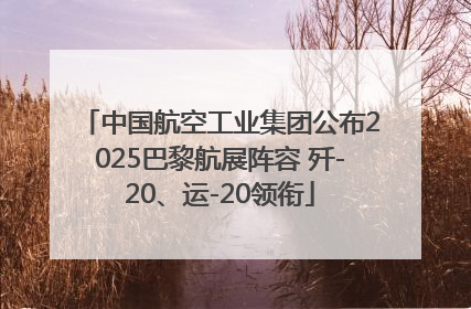 中国航空工业集团公布2025巴黎航展阵容 歼-20、运-20领衔