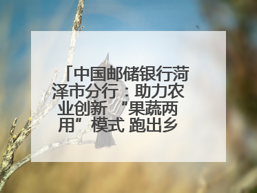 中国邮储银行菏泽市分行：助力农业创新 “果蔬两用”模式 跑出乡村振兴加速度