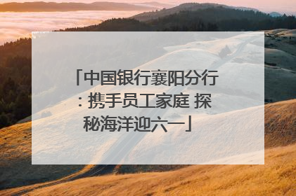中国银行襄阳分行：携手员工家庭 探秘海洋迎六一