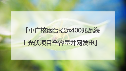 中广核烟台招远400兆瓦海上光伏项目全容量并网发电