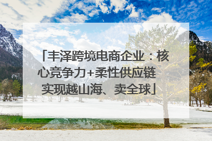 丰泽跨境电商企业：核心竞争力+柔性供应链 实现越山海、卖全球