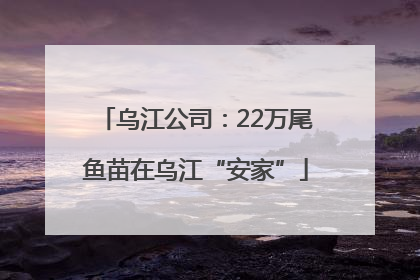 乌江公司：22万尾鱼苗在乌江“安家”