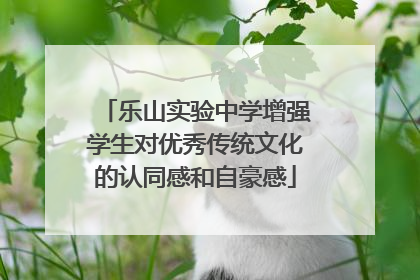 乐山实验中学增强学生对优秀传统文化的认同感和自豪感