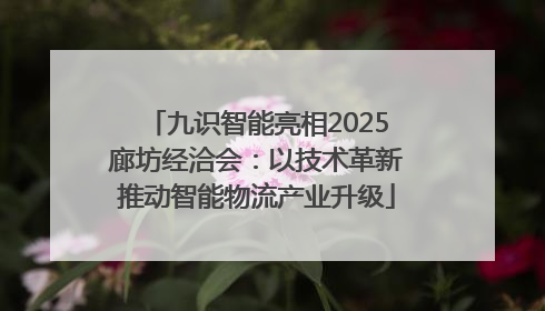 九识智能亮相2025廊坊经洽会：以技术革新推动智能物流产业升级
