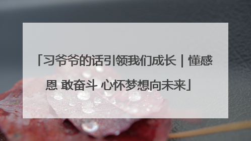 习爷爷的话引领我们成长｜懂感恩 敢奋斗 心怀梦想向未来