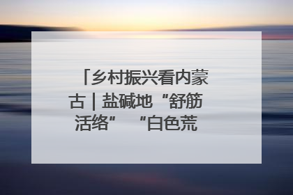 乡村振兴看内蒙古｜盐碱地“舒筋活络” “白色荒漠”长出吨粮田