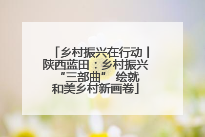 乡村振兴在行动丨陕西蓝田：乡村振兴 “三部曲” 绘就和美乡村新画卷