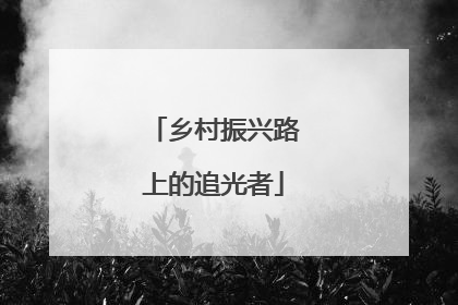 乡村振兴路上的追光者