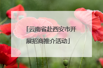 云南省赴西安市开展招商推介活动