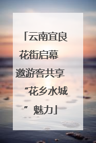 云南宜良花街启幕 邀游客共享“花乡水城”魅力
