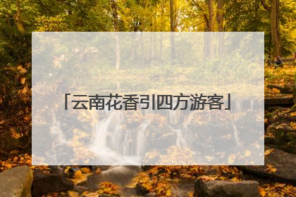 云南花香引四方游客