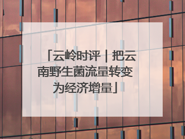 云岭时评｜把云南野生菌流量转变为经济增量