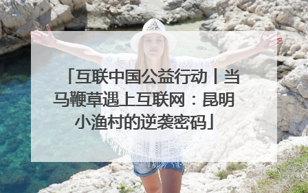 互联中国公益行动丨当马鞭草遇上互联网：昆明小渔村的逆袭密码