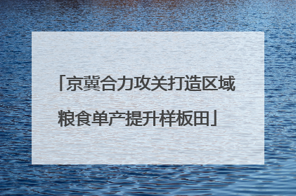 京冀合力攻关打造区域粮食单产提升样板田