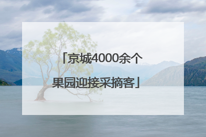 京城4000余个果园迎接采摘客