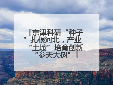 京津科研“种子”扎根河北，产业“土壤”培育创新“参天大树”