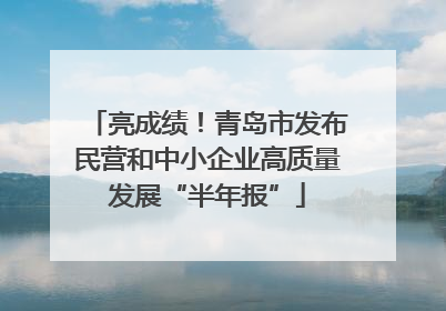 亮成绩！青岛市发布民营和中小企业高质量发展“半年报”