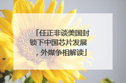 任正非谈美国封锁下中国芯片发展，外媒争相解读