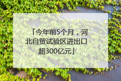 今年前5个月，河北自贸试验区进出口超300亿元