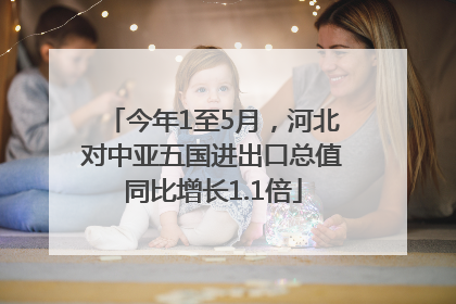 今年1至5月，河北对中亚五国进出口总值同比增长1.1倍